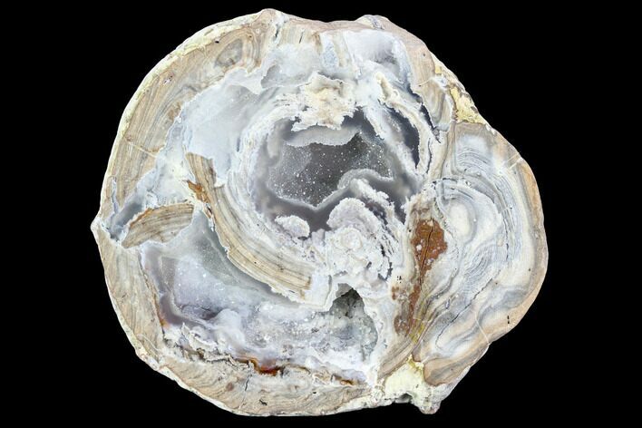 Crystal Filled Dugway Geode (Polished Half) #121655